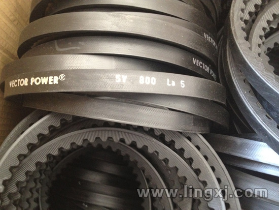 VECTOR��(��)�ǎ�